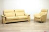 Modern yellow and brown leather living room
